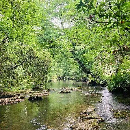 Con Jardin En アパート *