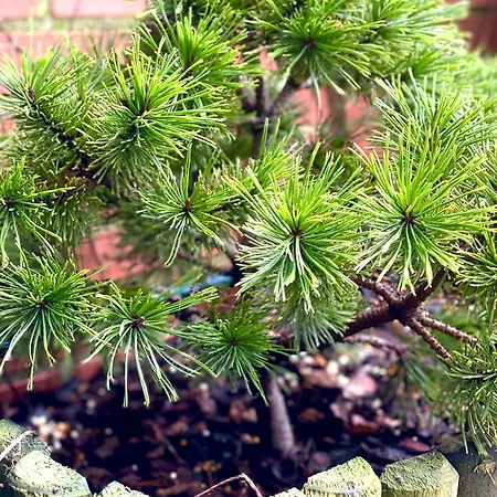 Con Jardin En 아파트