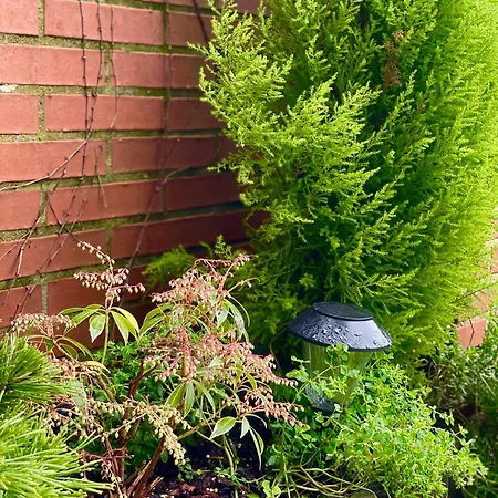 Apartment Con Jardin En