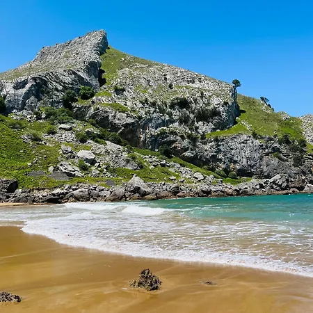 Con Jardin En 아파트