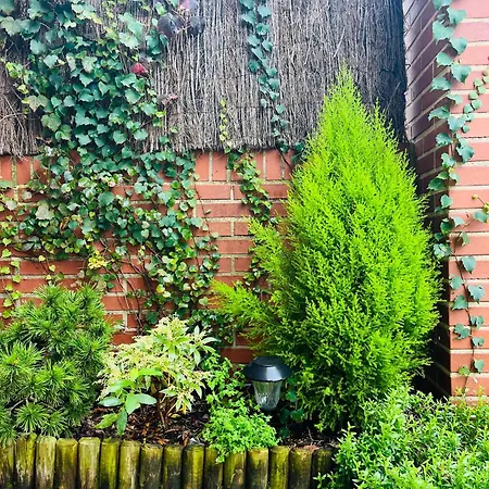 Con Jardin En アパート Badames