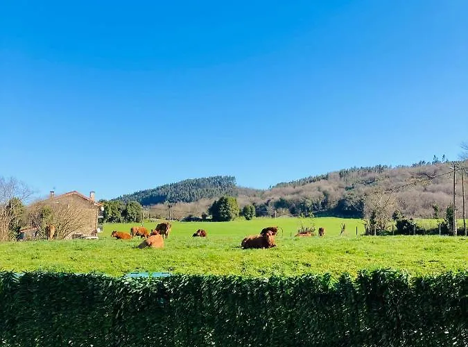 Con Jardin En Apartment