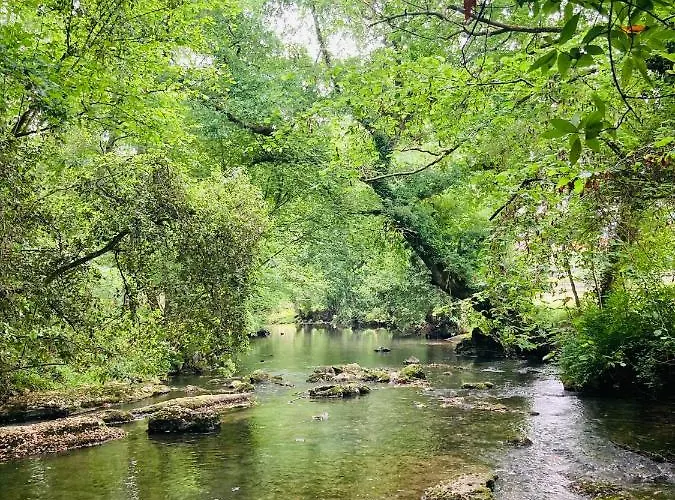 Con Jardin En דירה *