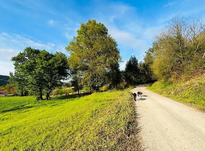 Con Jardin En Apartment *