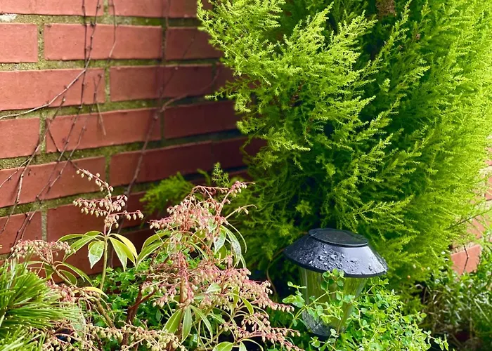 Apartment Con Jardin En